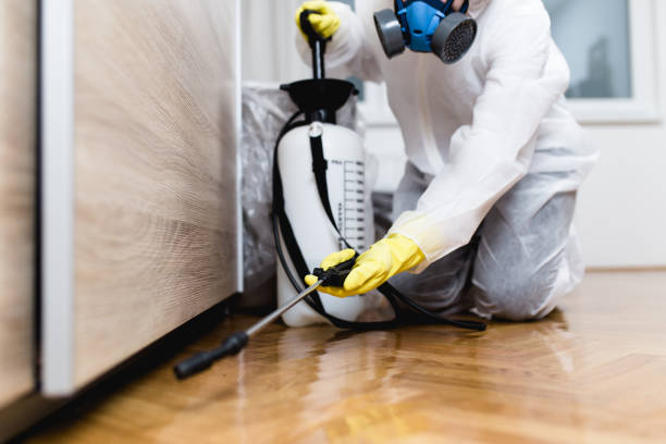 Best Pest Inspection Near Me  in Three Forks, MT