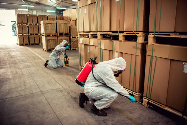 Best Best Pest Control Companies  in Three Forks, MT