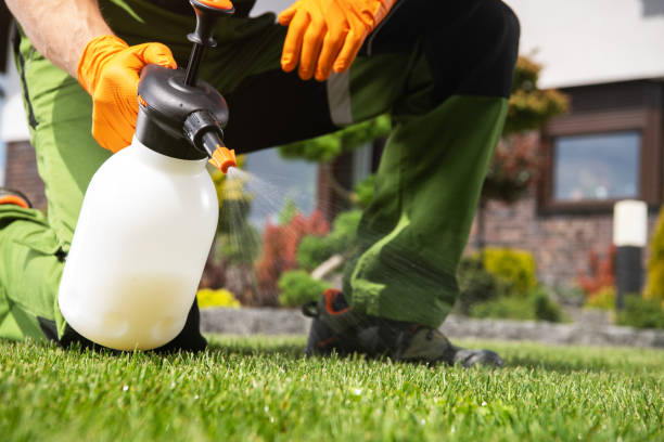 Best Exterminator Services  in Three Forks, MT