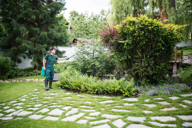 Best Wildlife Control Services  in Three Forks, MT