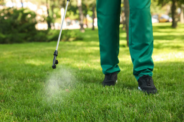 Best Pest Control Treatment  in Three Forks, MT