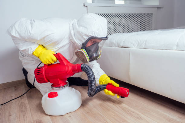 Professional Pest Control in Three Forks, MT