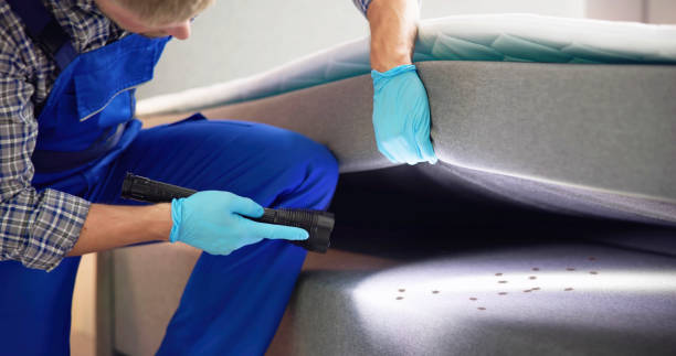 Flea Control Services in Three Forks, MT