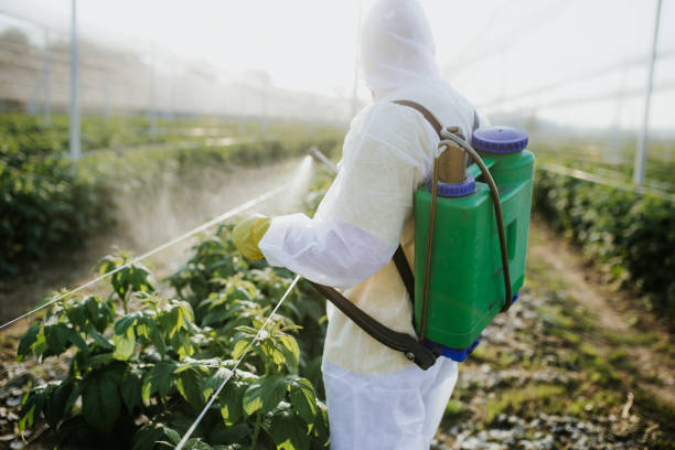 Best Bed Bug Extermination  in Three Forks, MT